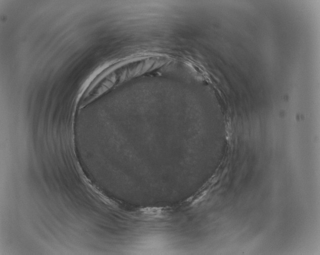 X0000076320052200610161654