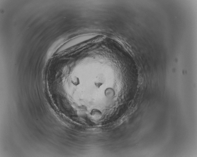 X0000076320053200610161654