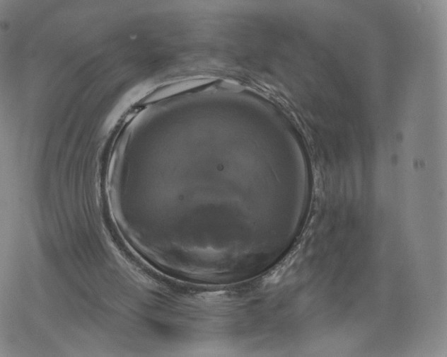 X0000076320054200610161654