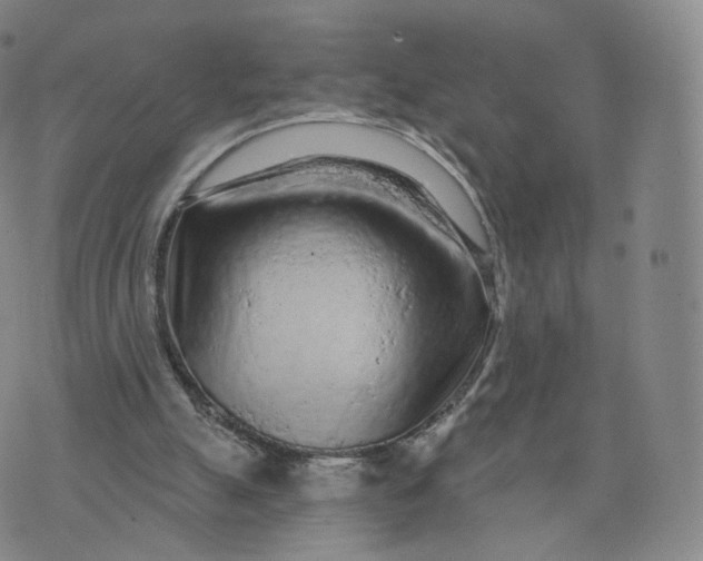 X0000076320055200610161654