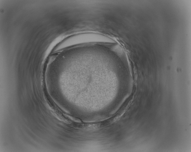 X0000076320056200610161654