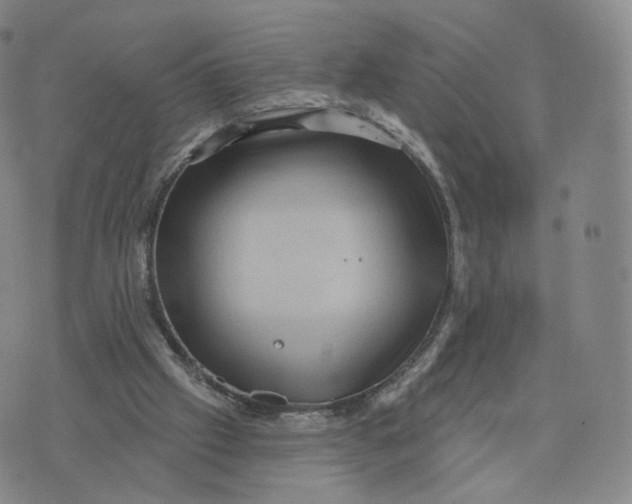 X0000076320057200610161654