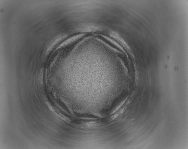 X0000076320058200610161654