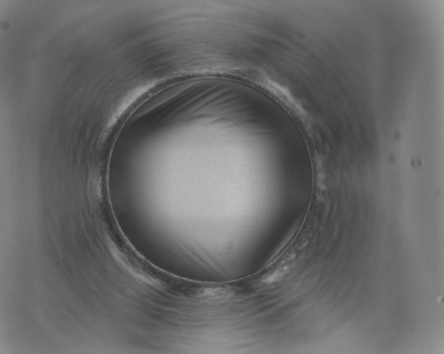 X0000076320060200610161654