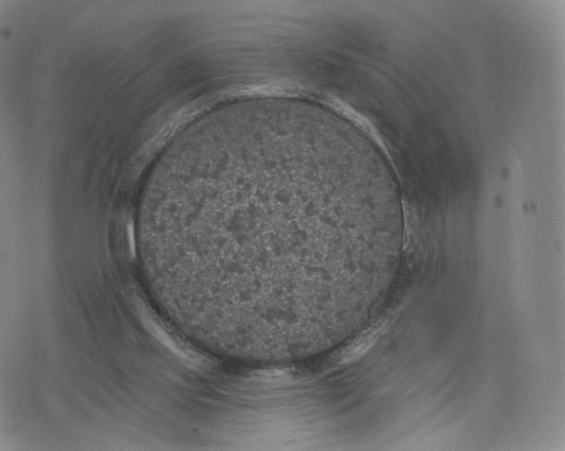 X0000076320061200610161654