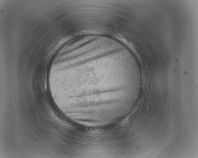 X0000076320062200610161654