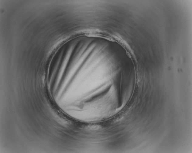 X0000076320063200610161654