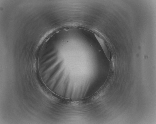 X0000076320064200610161654