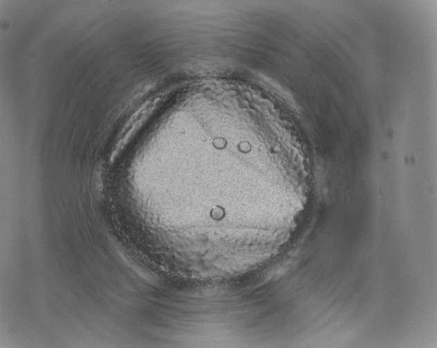 X0000076320065200610161654