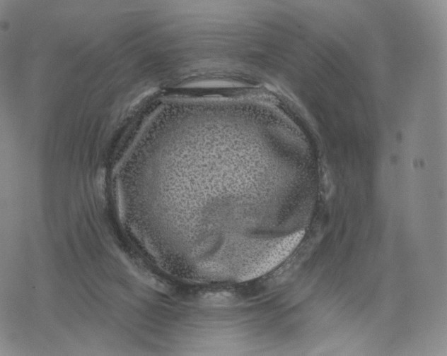 X0000076320066200610161654