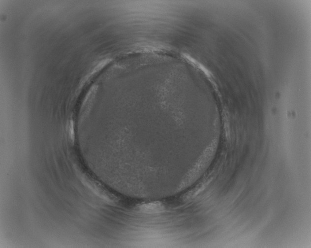 X0000076320067200610161654