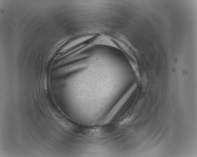 X0000076320068200610161654