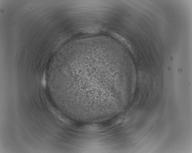 X0000076320069200610161654