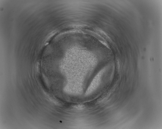 X0000076320071200610161654