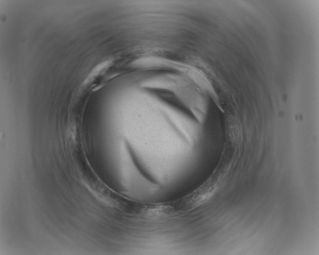 X0000076320072200610161654