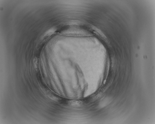 X0000076320073200610161654