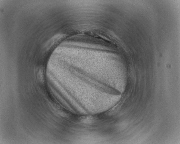 X0000076320074200610161654