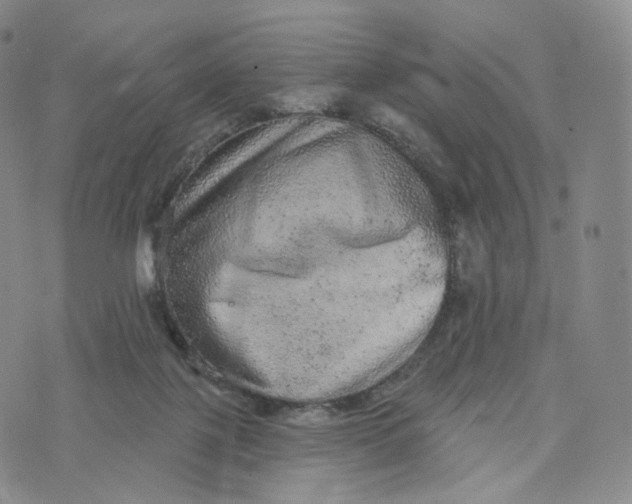 X0000076320075200610161654