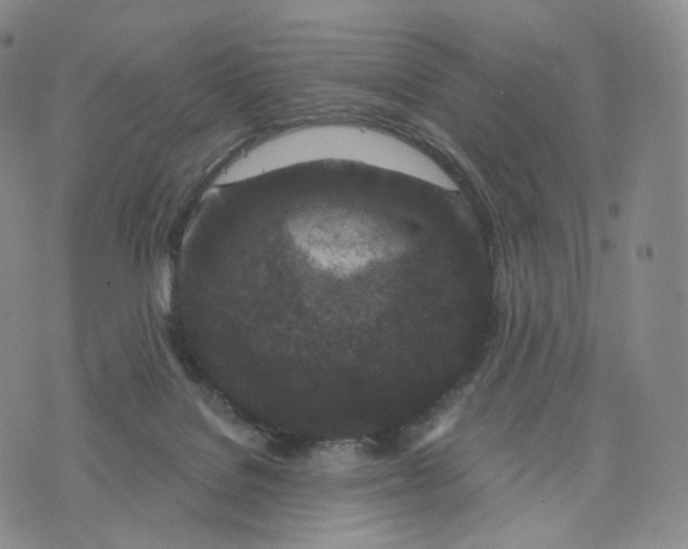 X0000076320076200610161654