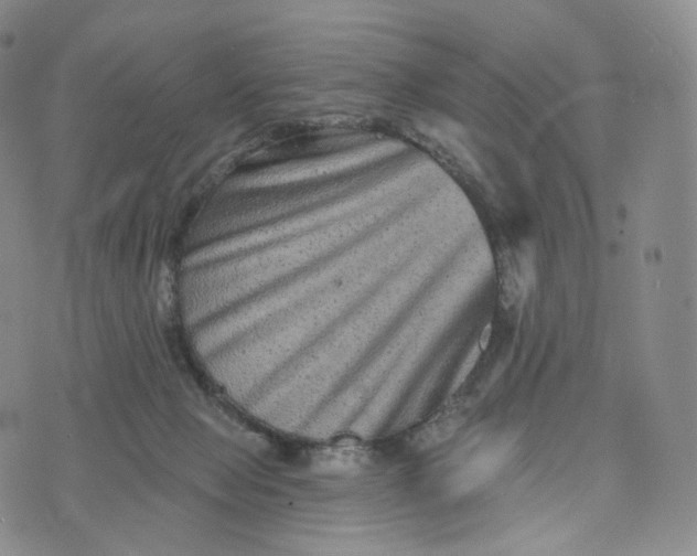 X0000076320077200610161654