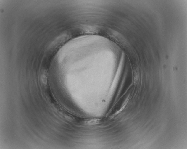 X0000076320078200610161654