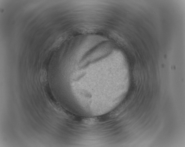 X0000076320079200610161654