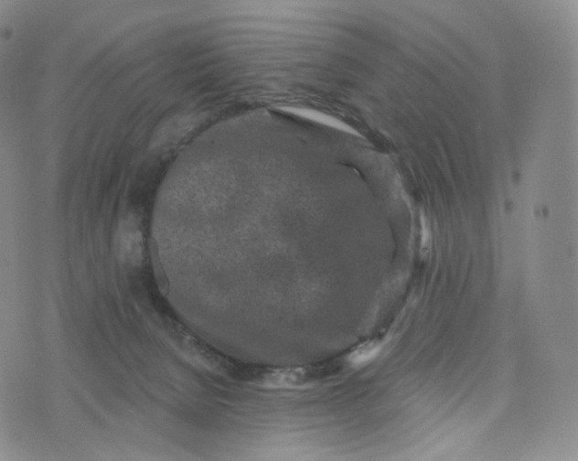 X0000076320080200610161654