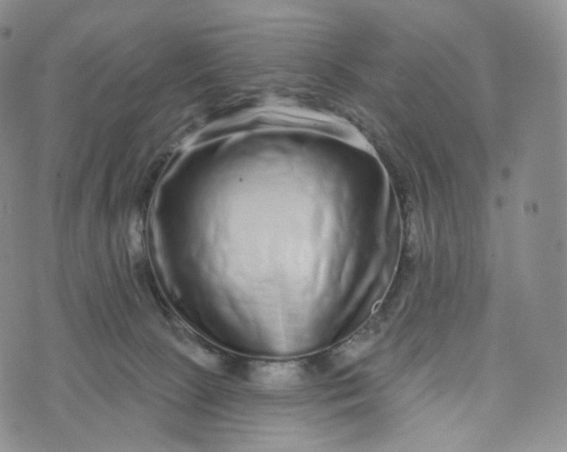 X0000076320081200610161654