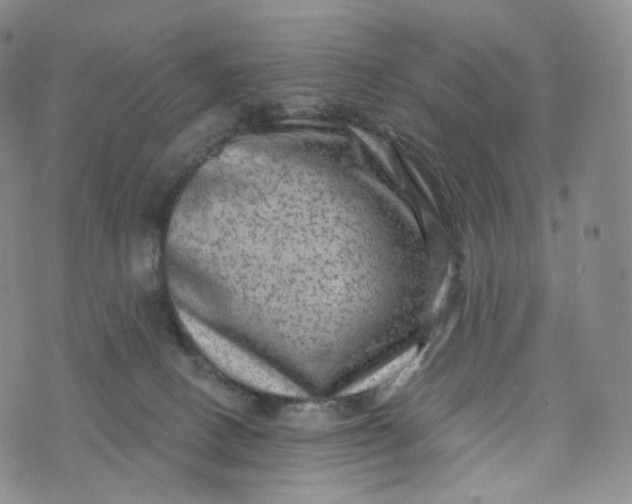 X0000076320082200610161654