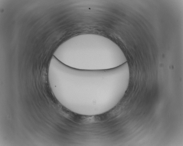 X0000076320083200610161654