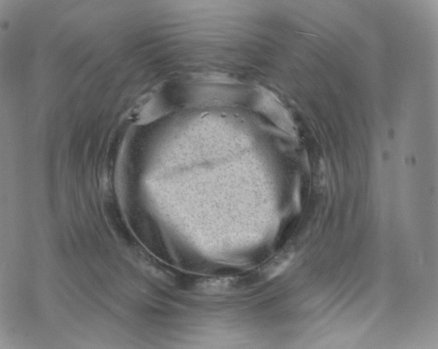 X0000076320084200610161654