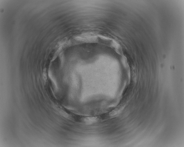 X0000076320085200610161654