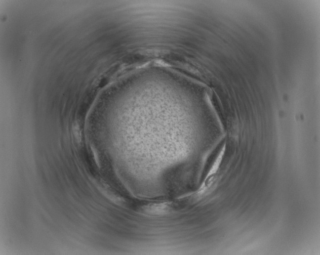 X0000076320086200610161654