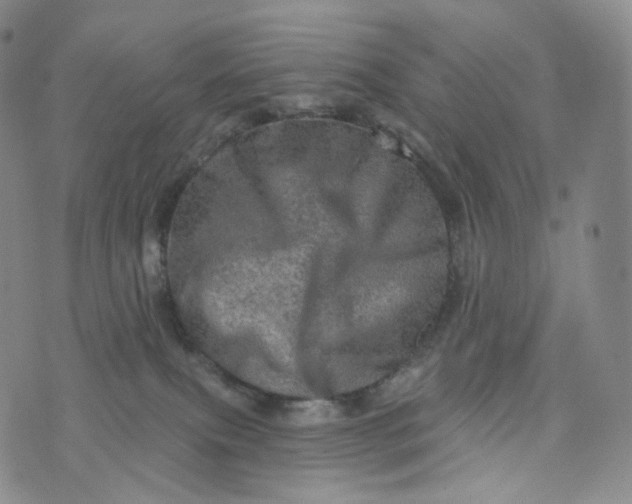 X0000076320087200610161654