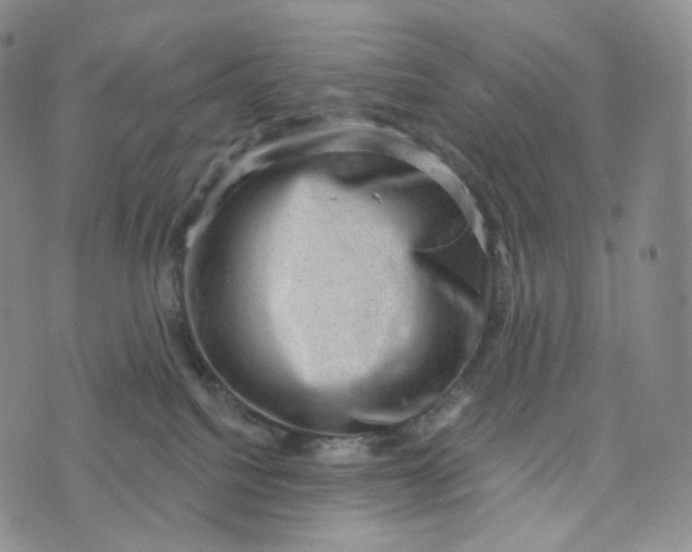 X0000076320088200610161654