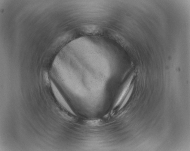 X0000076320089200610161654