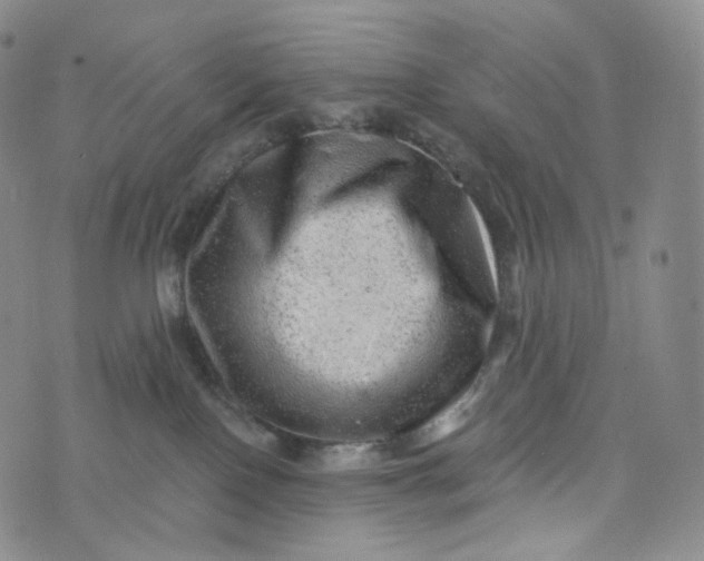 X0000076320090200610161654