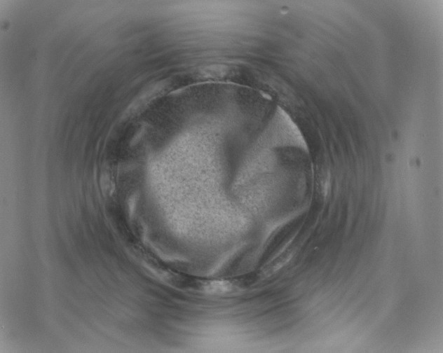 X0000076320091200610161654