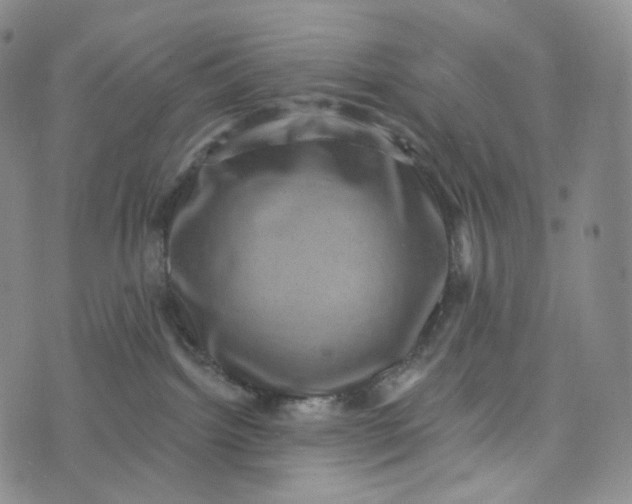 X0000076320092200610161654