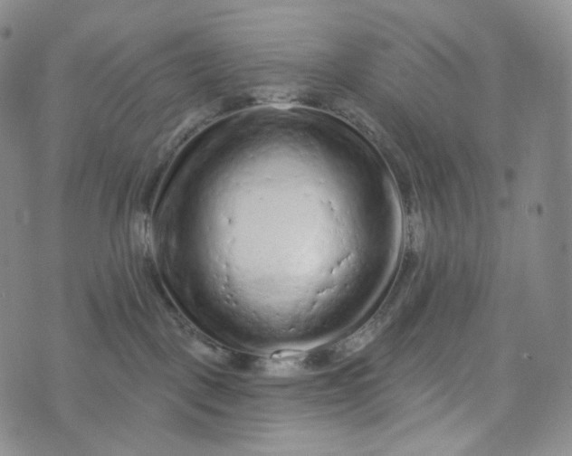 X0000076320093200610161654