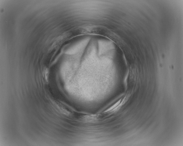 X0000076320094200610161654