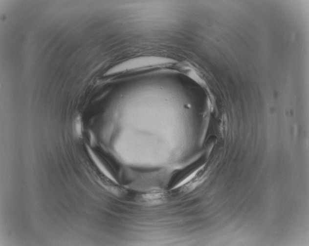 X0000076320095200610161654