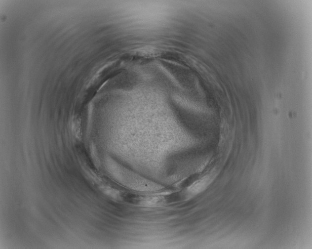 X0000076320096200610161654