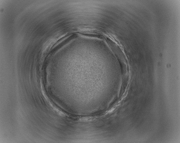 X0000076320097200610161654