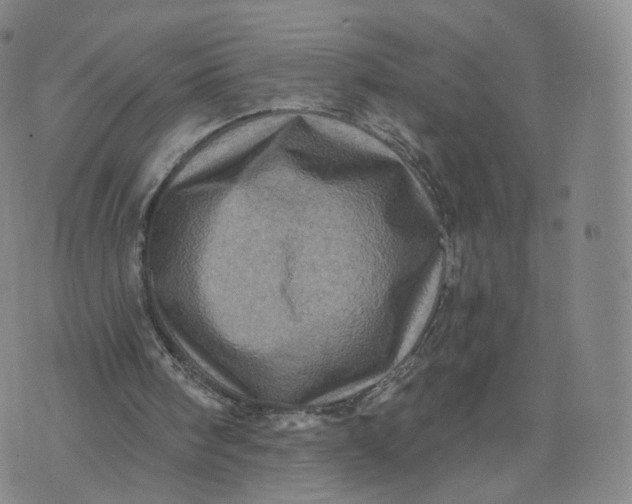 X0000076320098200610161654