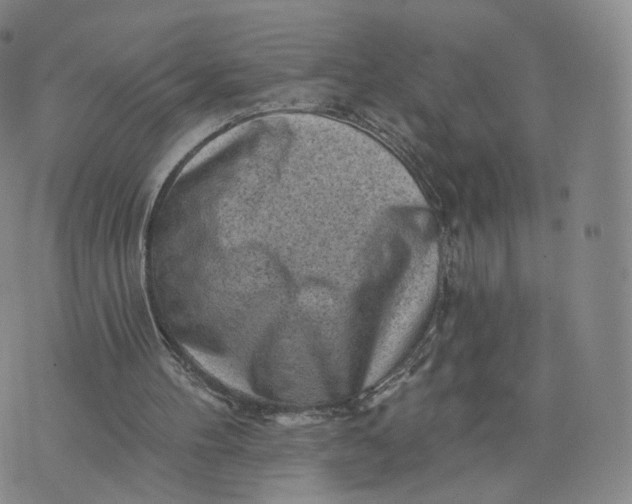 X0000076320100200610161654