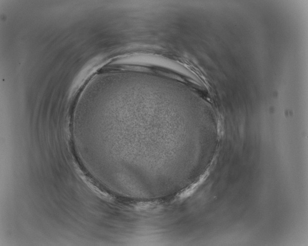 X0000076320101200610161654