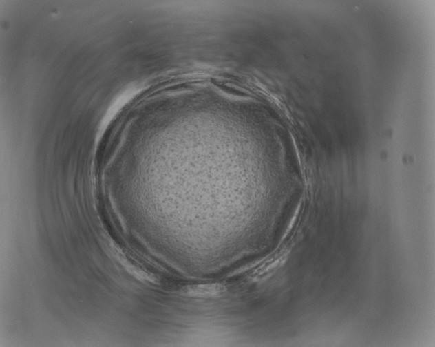 X0000076320102200610161654