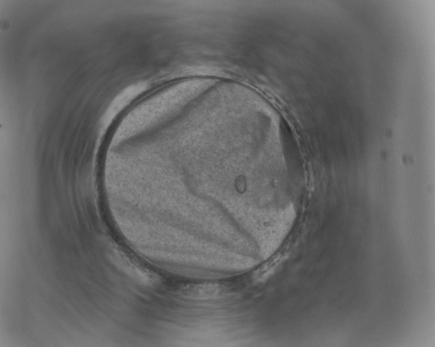 X0000076320104200610161654