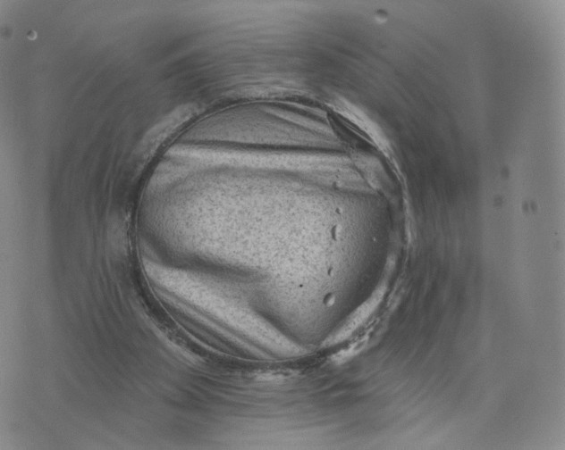 X0000076320105200610161654